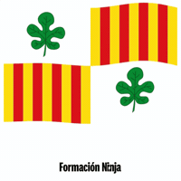 Flag Spain GIF by Formación Ninja