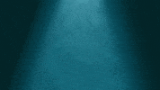 GIF by SaveMyBacon