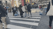 ar augmented reality square enix dragon quest dragon quest walk GIF