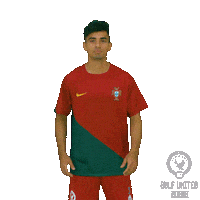 Cristiano Ronaldo Football Sticker by Gulf United FC