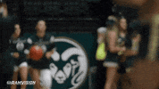Csurams Proudtobe GIF by Colorado State Rams