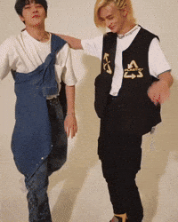 Skz Straykids GIF