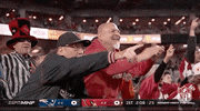 Arizona Cardinals Football GIF by NFL