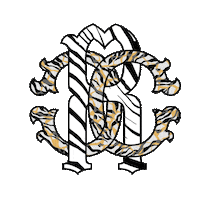 happy fashion Sticker by Roberto Cavalli