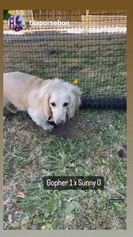 Jrhomeremodeling giphyupload GIF