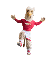 chestnuthillcollege college mascot university philadelphia Sticker