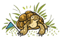 Hallo Bye Bye Sticker by Carlsen Kinderbuch