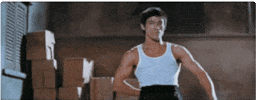 Bruce Lee Fighting GIF
