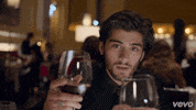 Music Video Cheers GIF by Vevo