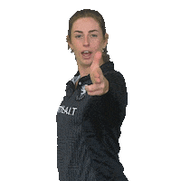 Point Gun Sticker by Somerset County Cricket Club