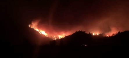 Evacuations Ordered in Santa Rosa as Multiple Wildfires Burn in California