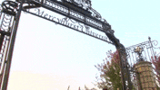 mercyhurst GIF