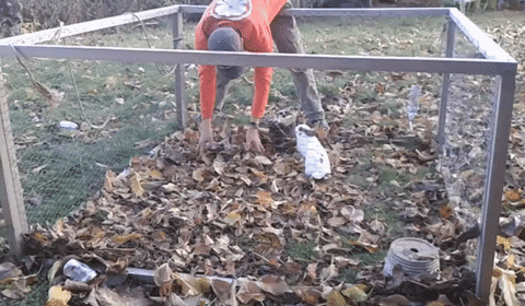 jermbly giphyupload GIF