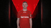 Bayer Leverkusen Love GIF by Bundesliga