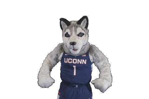 cheer o Sticker by UConn Huskies