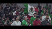 bandera apoyo GIF by MiSelecciónMX