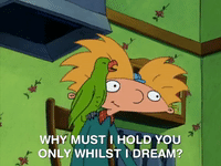 hey arnold nicksplat GIF