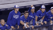 Celebrating Blue Jays GIF by Toronto Blue Jays