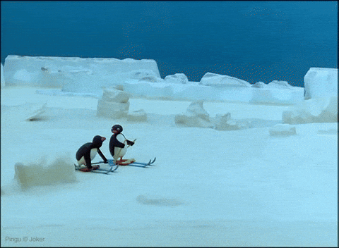 Compete Lets Go Gif By Pingu Find Share On Giphy Compete Lets Go Gif By Pingu Find Share On Giphy