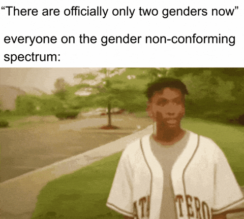 Human Rights Freedom GIF