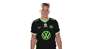 E Sports Sport Sticker by VfL Wolfsburg