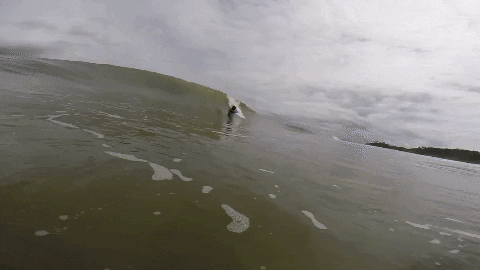 Sport Beach GIF by Bodyboarding Panama