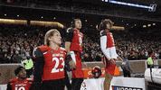 University Of Cincinnati Uc Football GIF by Cincinnati Bearcats