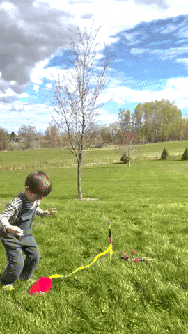 jadh7 giphyupload GIF