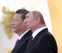 Head Putin GIF