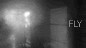 sub pop fly GIF by Sub Pop Records