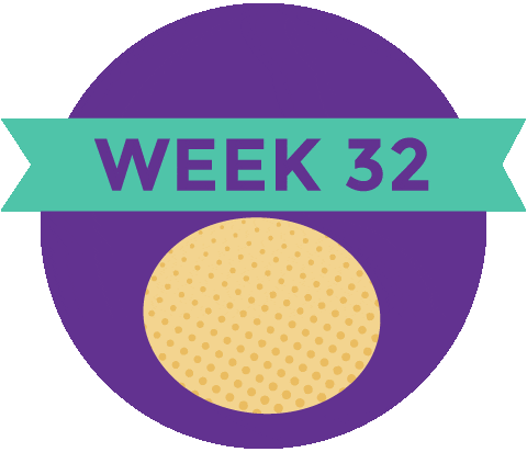 Pregnancy Baby Size Sticker by What to Expect