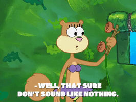 season 8 GIF by SpongeBob SquarePants