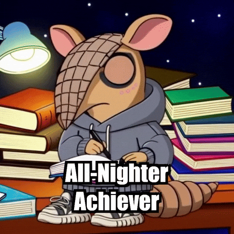 Late Night Study GIF by Chillo Dillo