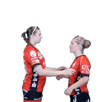 Handball Sticker by Hollenstedt-Handball