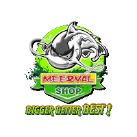 meervalshop catfish waller silure vissen Sticker
