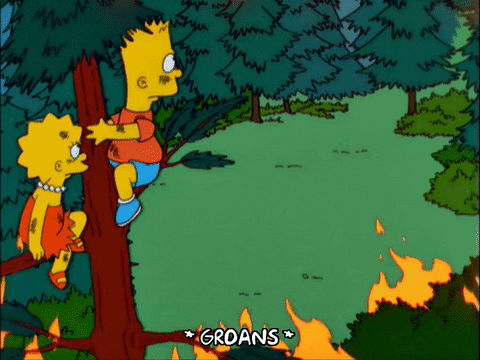 bart simpson GIF