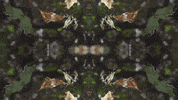 Art Love GIF by jorgemariozuleta