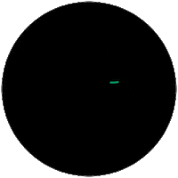 Weed Anniversary Sticker by ExpoCannabis