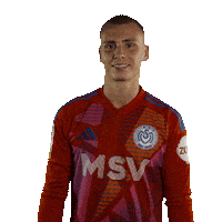 Zebras Braune Sticker by msvduisburg