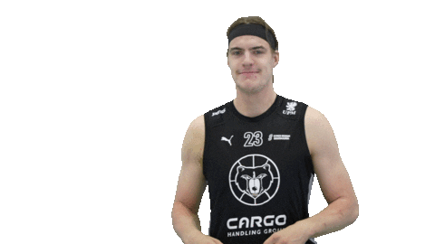 Sport Basketball Sticker by Basket_fi