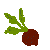 Gemuse Beetroot Sticker by JAKO-O