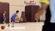 Taumu League GIF by taumufraternity