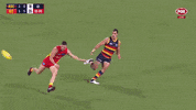 Taylor Walker Celebration GIF by Adelaide Crows