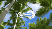 Partypokerlive partypoker partypoker live caribbean poker party GIF