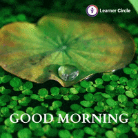 Good Morning Love GIF by Learner Circle