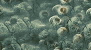 Machine Learning Love GIF by erica shires