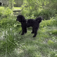 Workplace Troubleshooting GIF