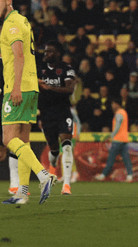 West Brom Wba GIF by West Bromwich Albion