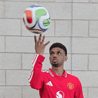 World Cup Spinning GIF by Manchester United