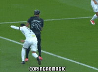 Santos Fc Futebol GIF